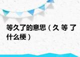 等久了的意思（久 等 了什么梗）