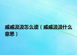 戚戚汲汲怎么读（戚戚汲汲什么意思）