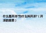 什么是开洋?为什么叫开洋?（开洋的意思）