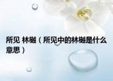 所见 林樾（所见中的林樾是什么意思）