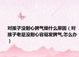 对孩子没耐心脾气燥什么原因（对孩子老是没耐心容易发脾气,怎么办）