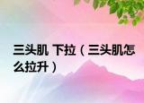 三头肌 下拉（三头肌怎么拉升）