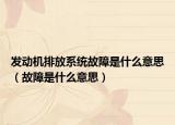 发动机排放系统故障是什么意思（故障是什么意思）