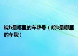 皖b是哪里的车牌号（皖b是哪里的车牌）