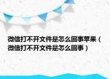 微信打不开文件是怎么回事苹果（微信打不开文件是怎么回事）