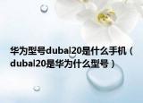 华为型号dubal20是什么手机（dubal20是华为什么型号）