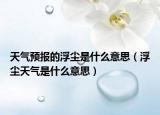 天气预报的浮尘是什么意思（浮尘天气是什么意思）