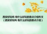 西安好玩吗 有什么好玩的景点介绍作文（西安好玩吗 有什么好玩的景点介绍）