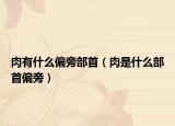 肉有什么偏旁部首（肉是什么部首偏旁）