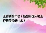 王莽新朝年号（新朝开国人物王莽的帝号是什么）