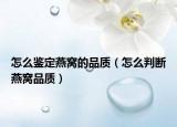 怎么鉴定燕窝的品质（怎么判断燕窝品质）