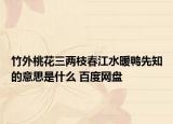 竹外桃花三两枝春江水暖鸭先知的意思是什么 百度网盘