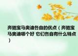 奔驰宝马奥迪各自的优点（奔驰宝马奥迪哪个好 它们各自有什么特点）