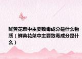 鲜黄花菜中主要致毒成分是什么物质（鲜黄花菜中主要致毒成分是什么）