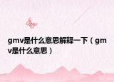 gmv是什么意思解释一下（gmv是什么意思）