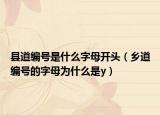 县道编号是什么字母开头（乡道编号的字母为什么是y）
