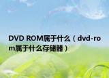 DVD ROM属于什么（dvd-rom属于什么存储器）