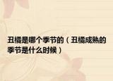 丑橘是哪个季节的（丑橘成熟的季节是什么时候）