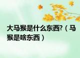 大马猴是什么东西?（马猴是啥东西）
