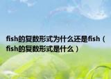 fish的复数形式为什么还是fish（fish的复数形式是什么）