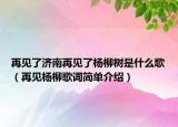 再见了济南再见了杨柳树是什么歌（再见杨柳歌词简单介绍）