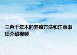 三色千年木的养殖方法和注意事项介绍视频