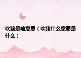 吹猪是啥意思（吹猪什么意思是什么）