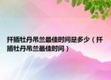 扦插牡丹吊兰最佳时间是多少（扦插牡丹吊兰最佳时间）