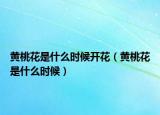 黄桃花是什么时候开花（黄桃花是什么时候）