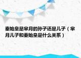 秦始皇是芈月的孙子还是儿子（芈月儿子和秦始皇是什么关系）