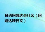 日语阿娜达是什么（阿娜达哇日文）