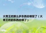 大胃王吃那么多东西去哪里了（大胃王吃的东西去哪了）