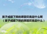 孩子成绩下降的原因究竟是什么呢（孩子成绩下降的原因究竟是什么）