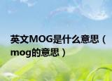 英文MOG是什么意思（mog的意思）