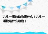 九牛一毛的动物是什么（九牛一毛比喻什么动物）