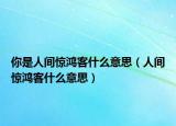 你是人间惊鸿客什么意思（人间惊鸿客什么意思）