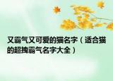 又霸气又可爱的猫名字（适合猫的超拽霸气名字大全）