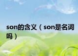 son的含义（son是名词吗）