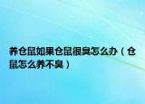 养仓鼠如果仓鼠很臭怎么办（仓鼠怎么养不臭）