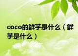 coco的鲜芋是什么（鲜芋是什么）