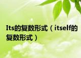 Its的复数形式（itself的复数形式）
