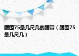 腰围75是几尺几的腰带（腰围75是几尺几）
