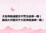 大张伟杨迪撒贝宁荒岛是哪一期（脑洞大开撒贝宁大张伟杨迪哪一期）