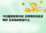 今日最新更新内容 玉有棉好还是没棉好 玉里面的棉是什么