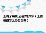 玉有了裂痕,还会养好吗?（玉有裂痕怎么办怎么养）