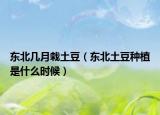 东北几月栽土豆（东北土豆种植是什么时候）