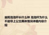益阳泡泡杆长什么样 泡泡杆为什么不能带上公交具体情况详细内容介绍