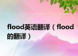 flood英语翻译（flood的翻译）