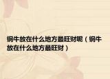 铜牛放在什么地方最旺财呢（铜牛放在什么地方最旺财）
