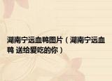 湖南宁远血鸭图片（湖南宁远血鸭 送给爱吃的你）